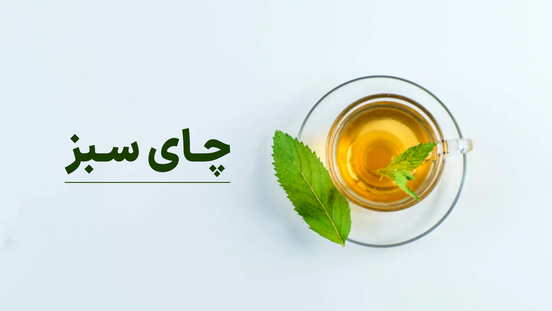 چای سبز چه ویژگی هایی دارد؟